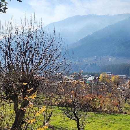 The Homstel Manali Ostello Esterno foto