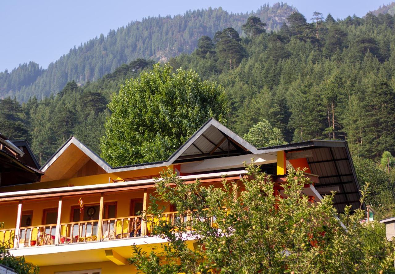 The Homstel Manali Ostello Esterno foto