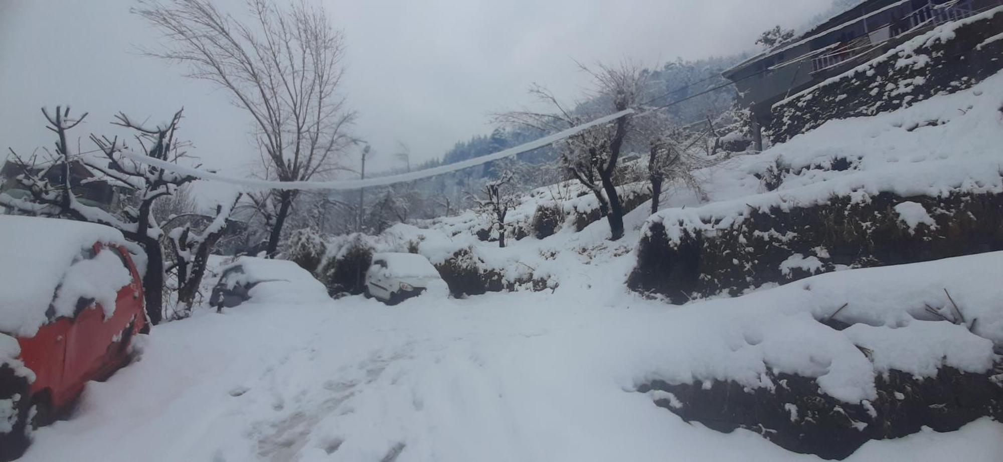 The Homstel Manali Ostello Esterno foto