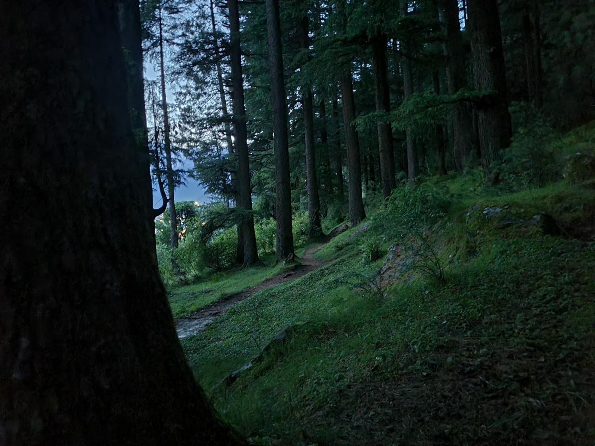 The Homstel Manali Ostello Esterno foto