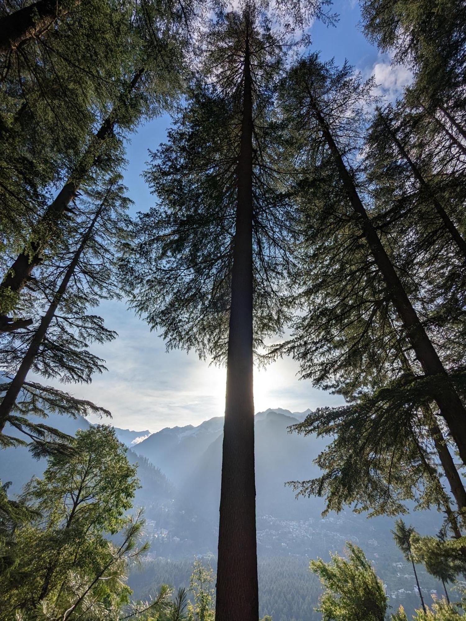 The Homstel Manali Ostello Esterno foto